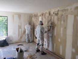 Why You Should Choose Our Mold Remediation Services in Wilmington, IL